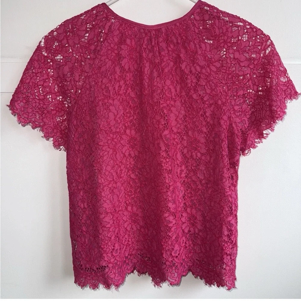 J Crew Short Sleeve Lace Top Lined Blouse Pink Small Petite Pink Flutter Sleeves
